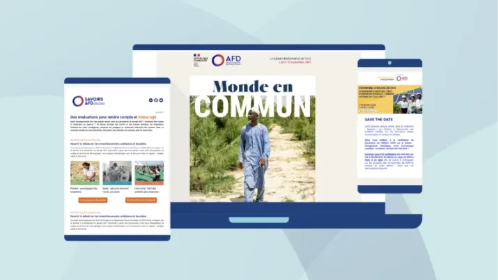 Newsletter AFD