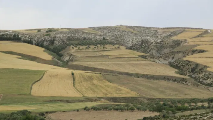 Zones sensibles et erosion en Tunisie