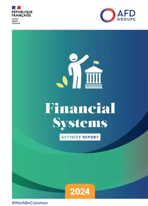 Financial Systems – 2024 Activity Report
