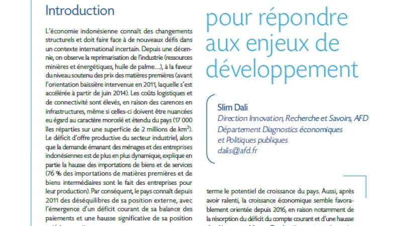 Macrodev N°24 Indonésie Couverture