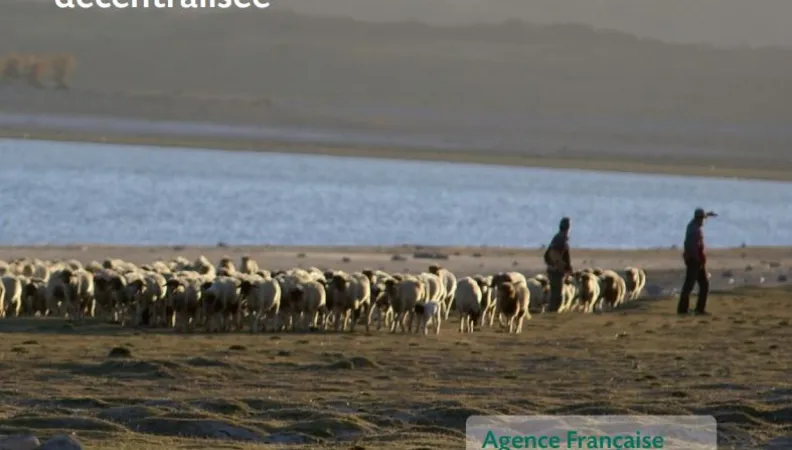 Savoirs communs n°8 : Parcs naturels régionaux de France et coopération décentralisée