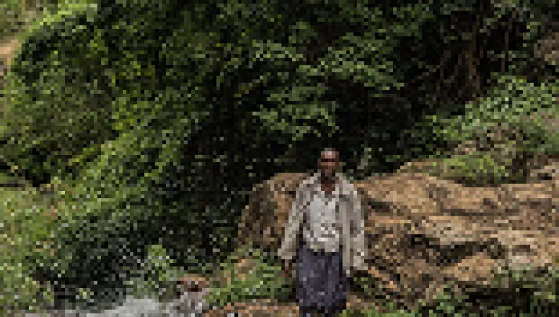 Une oasis dans le désert