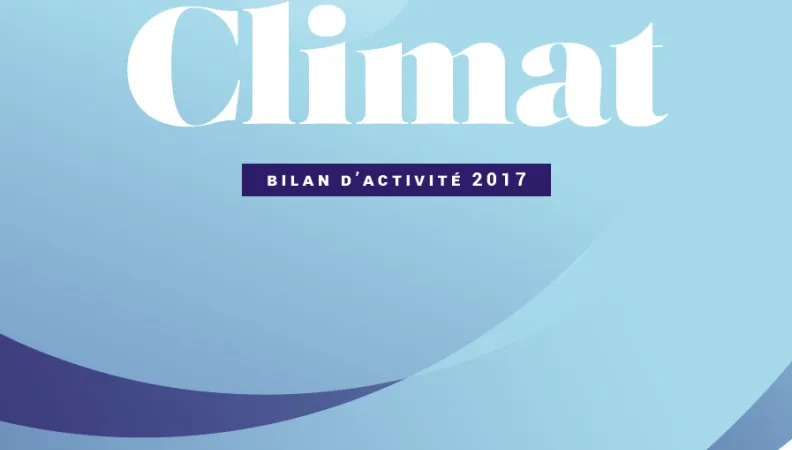 bilan activité climat AFD 2017