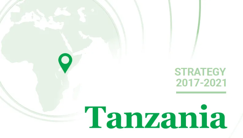 Strategy Tanzania