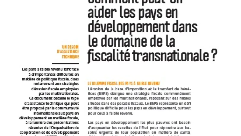 pays-en-developpement-fiscalite-transnationale