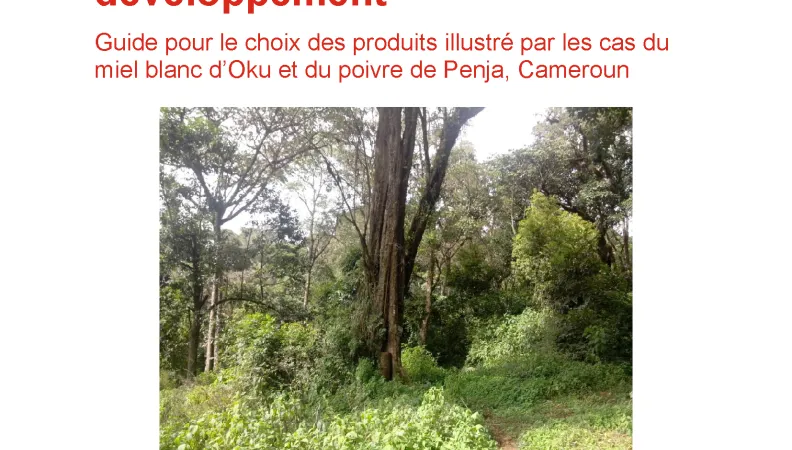Etude sur les indicateurs géographique des filières « poivre de Penja » et « miel blanc d’Oku »