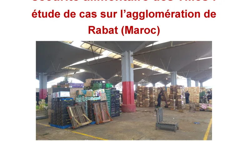 Etude sur la contribution des systèmes de distribution alimentaire à la sécurité alimentaire des villes au Maroc