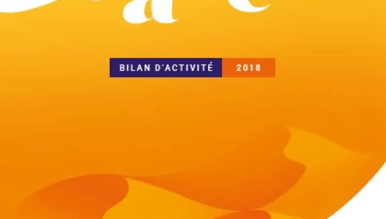 Sahel : bilan d'activité 2018 du groupe AFD