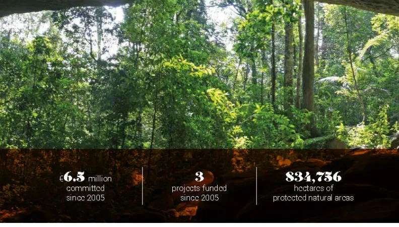 AFD and the Environment in Cambodia