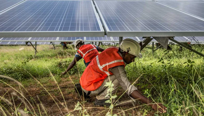 nosso papel, AFD,planta solar, India