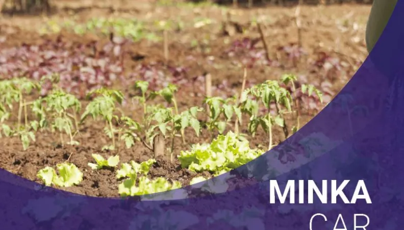 Minka CAR Initiative