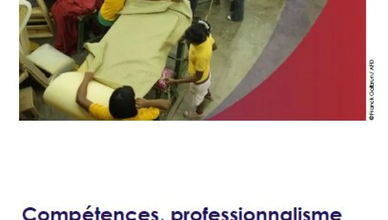 Compétences, professionnalisme et professionnalisation AFD