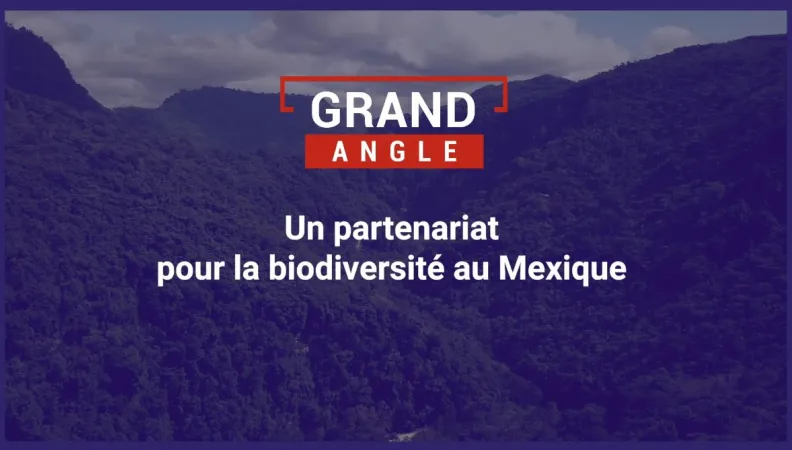 Un partenariat pour la biodiversité au Mexique