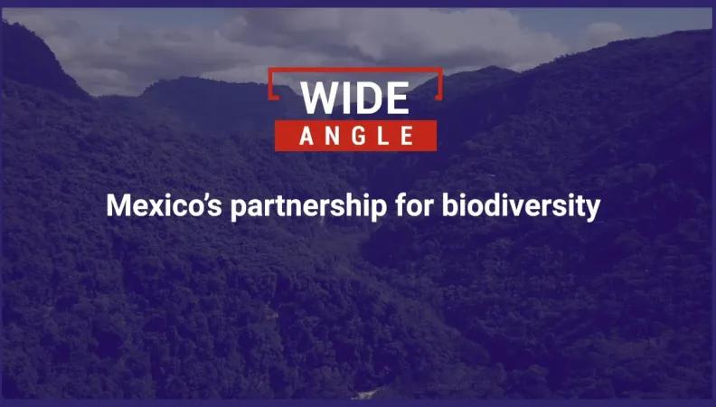 México's partnership for biodiversity