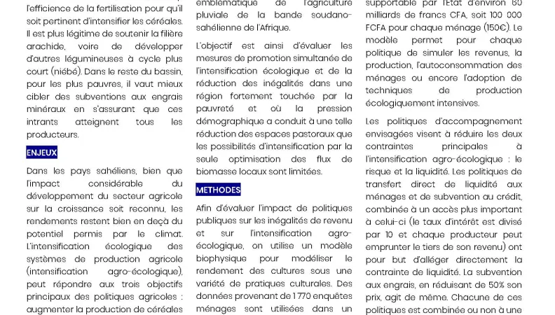 Couv DPP 15