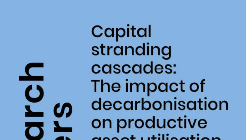 Capital stranding cascades_couv1