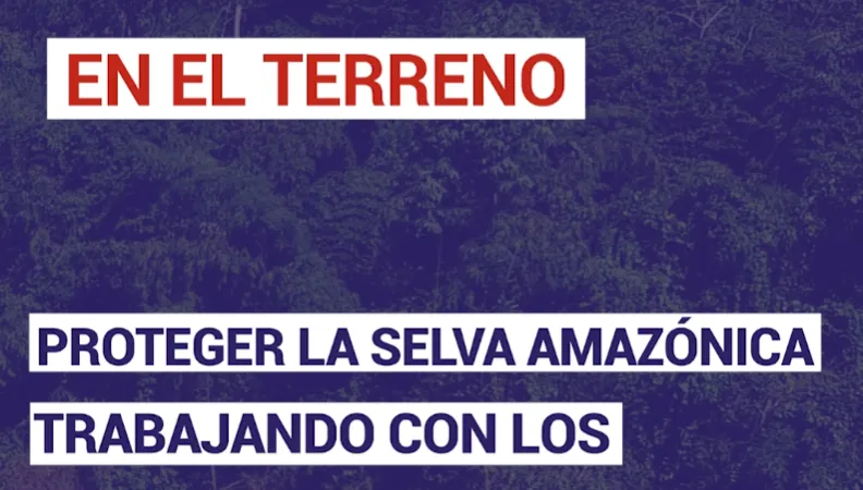 Proteger la selva amazónica trabajando con los pueblos indígenas