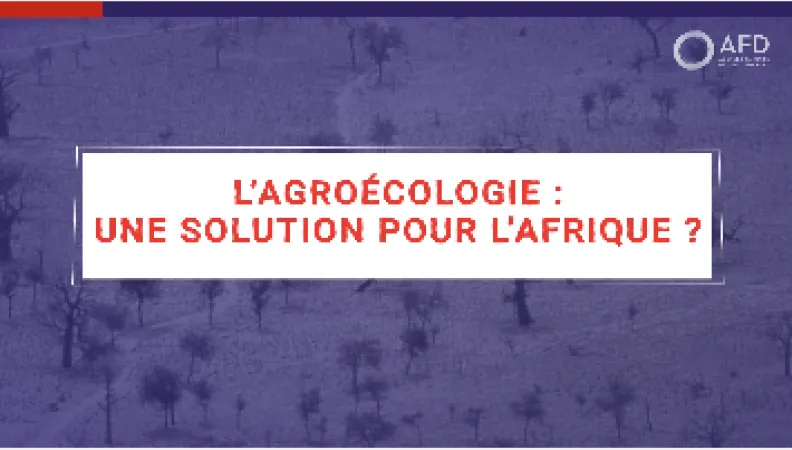 Une intensification agroécologique au Sahel est-elle possible ?