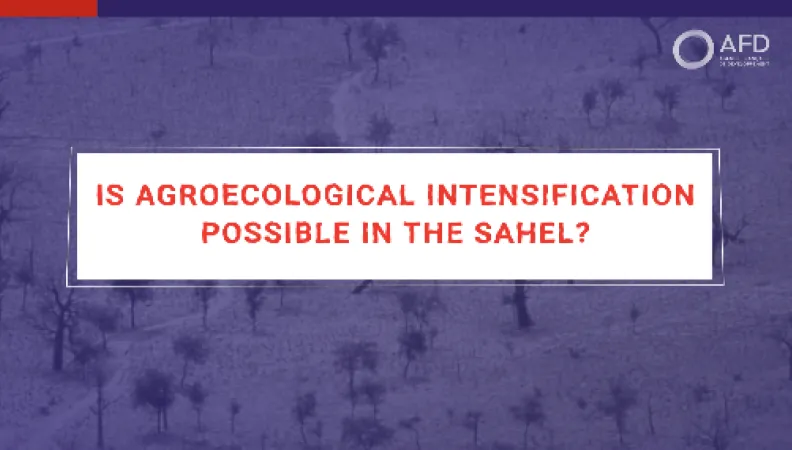 Is agroecological intensification possible in the Sahel?