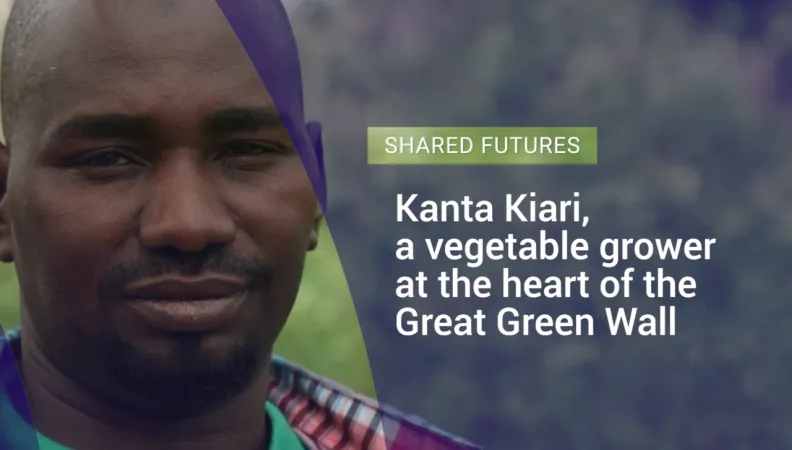 Kanta Kiari, a vegetable grower at the heart of the Great Green Wall