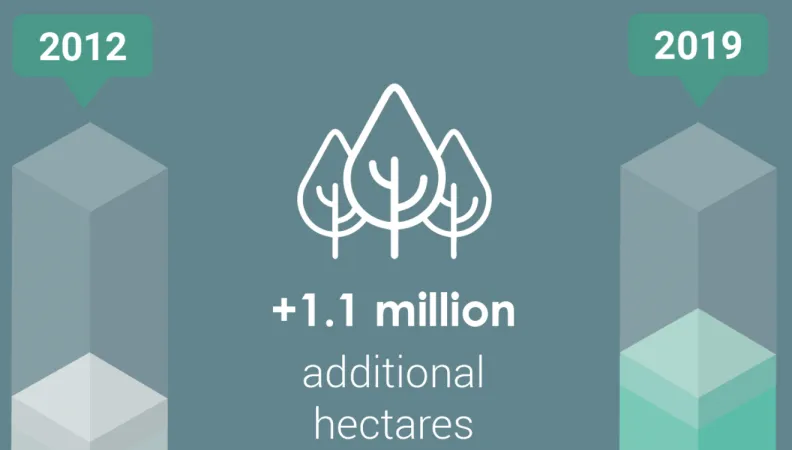 forest infographic