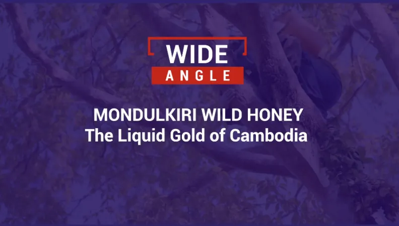 Cambodia Liquid Gold