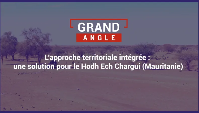 L'approche territoriale intégrée : une solution pour le Hodh Ech Chargui (Mauritanie)