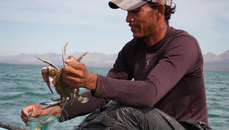 Biodiversité dans les secteurs de la pêche et de l'agriculture