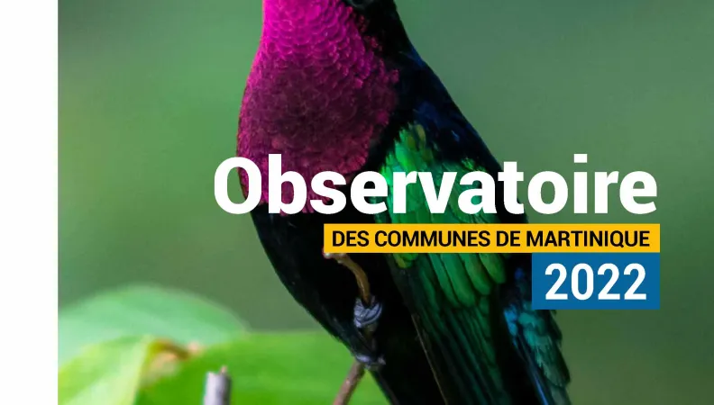 Observatoire des communes de Martinique 2022