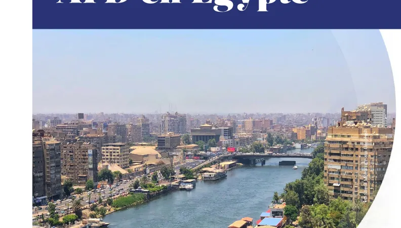 L'offre du groupe AFD en Égypte
