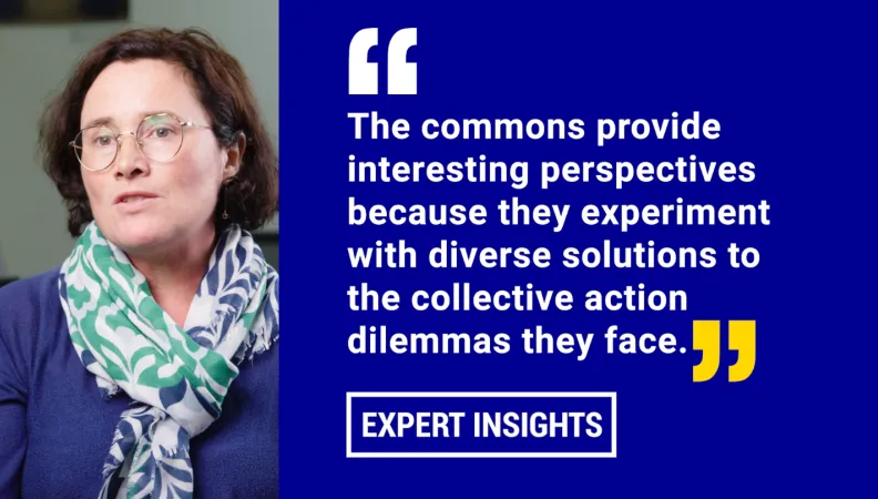 The Commons, vectors for development in East Africa
