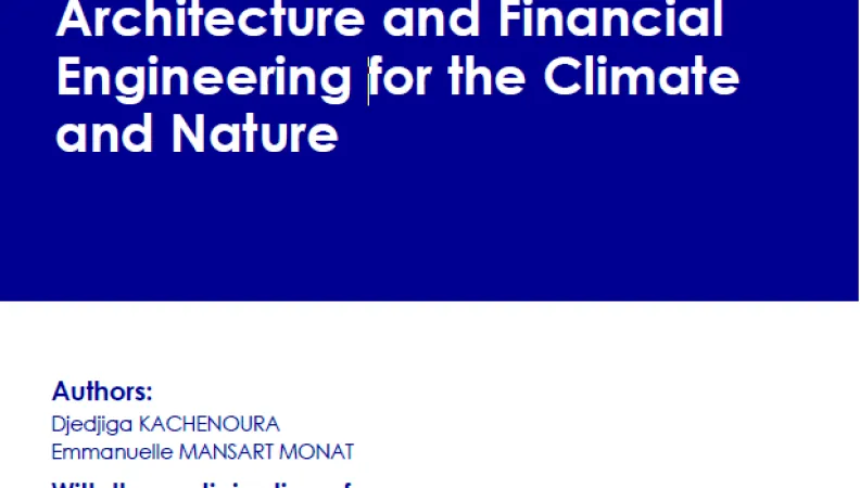 Vignette série grise architecture financière climat EN