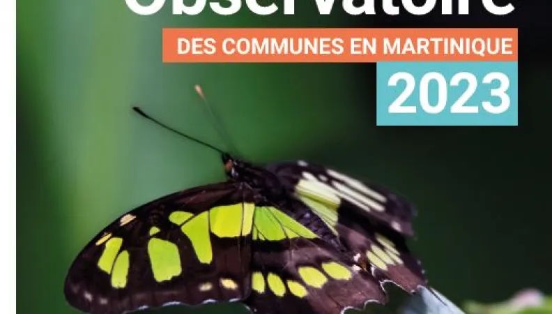 Observatoire des communes Martinique