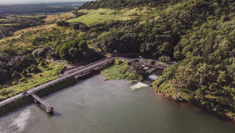 forêt rivière île maurice