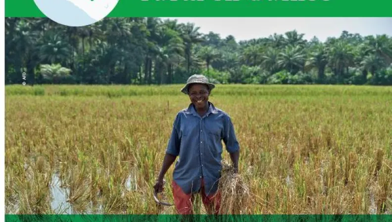 afd developpement rural guinee