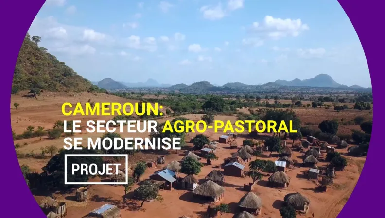 Cameroun : le secteur agro-pastoral se modernise