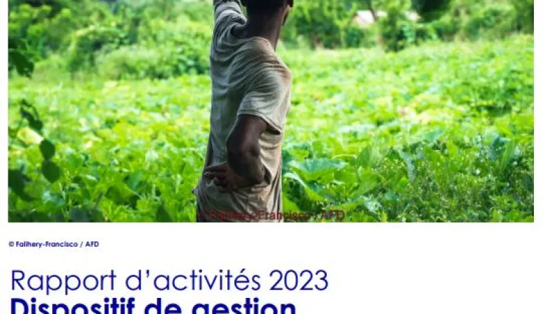 Rapport d'Activité Dispositif ES
