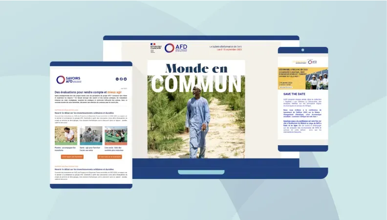 Newsletter AFD