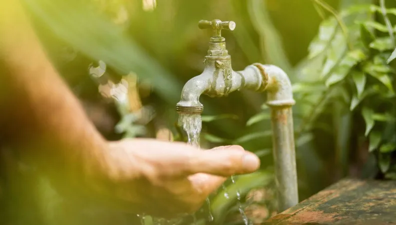 A governance of vital resources by the Commons ensures their preservation.