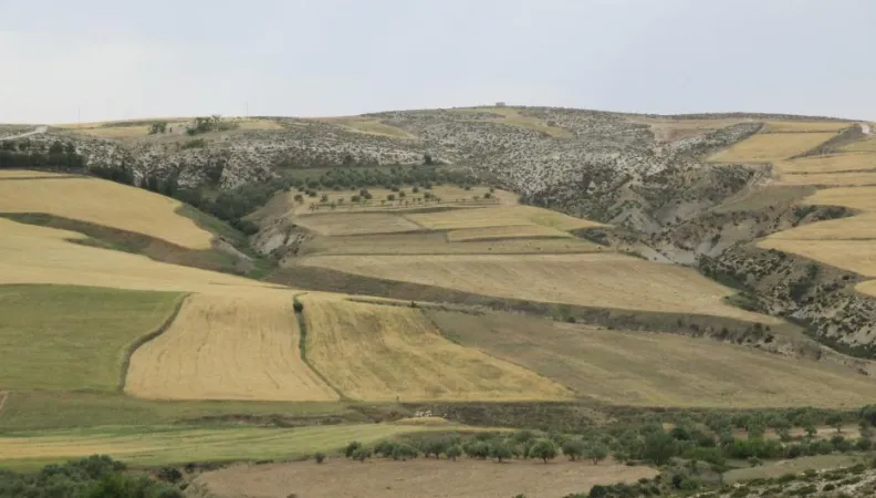 Zones sensibles et erosion en Tunisie