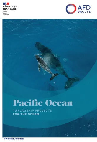 pacific ocean ten flagship projects afd.PNG 