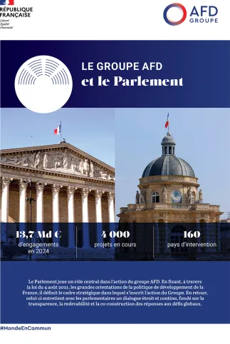 Le groupe AFD et le Parlement