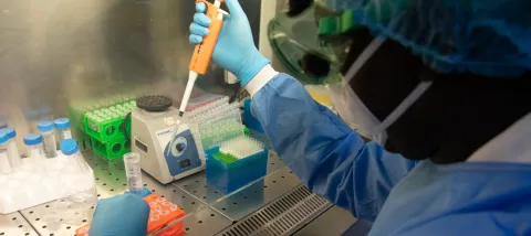 Appui aux Instituts Pasteur, Covid-19