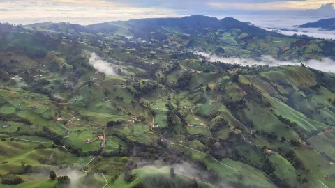 Colombie