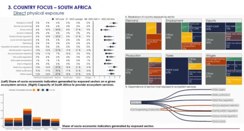 Tableau de bord - Physical exposure - Afrique du Sud