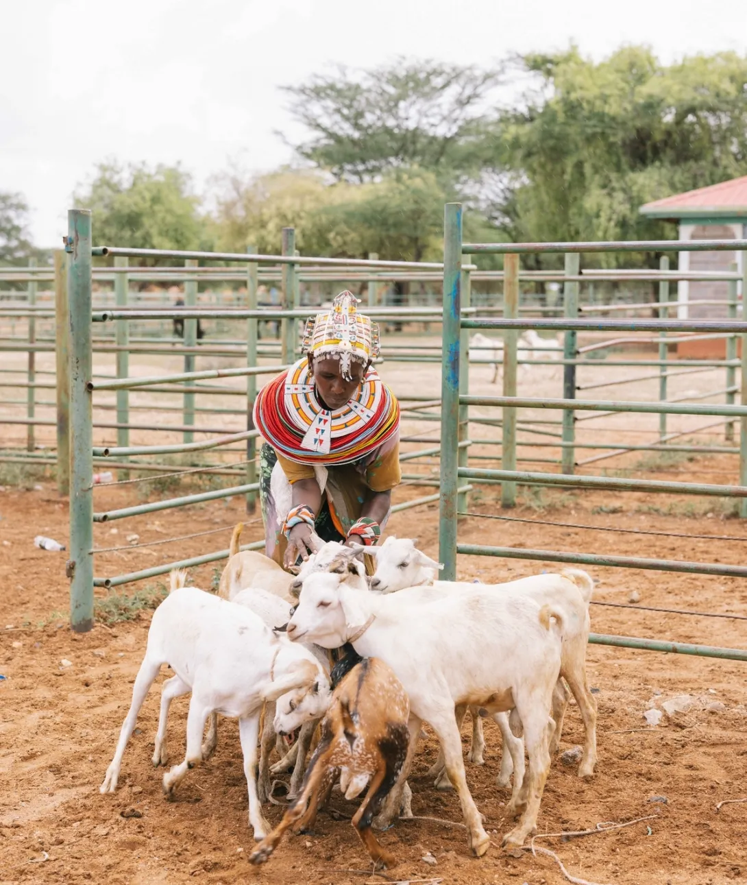Pastoralisme